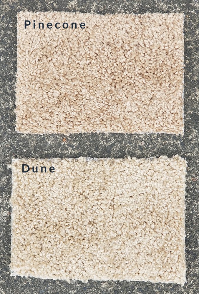 Pinecone & Dune